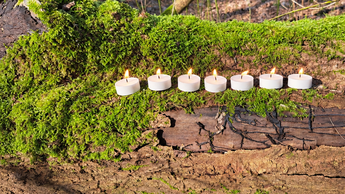 Biologische en natuurlijke theelichtjes zonder aluminium cupjes.